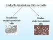 Prezentācija 'Endoplazmatiskais tīkls', 7.