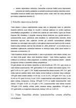 Referāts 'Subsīdiju politikas analīze', 10.