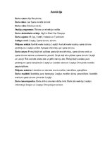 Diplomdarbs 'LOC Sporta manēža tūrismā', 2.