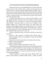 Diplomdarbs 'LOC Sporta manēža tūrismā', 12.