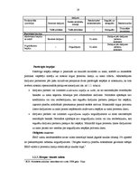 Diplomdarbs 'Latvija un Eiropas monetārā sistēma', 19.