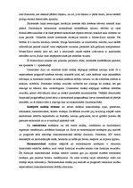 Referāts 'Imitējoša modelēšana. Spēļu teorija', 8.