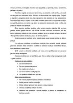 Referāts 'Imitējoša modelēšana. Spēļu teorija', 24.