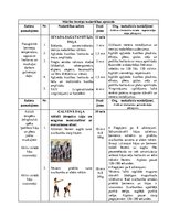 Konspekts 'Ātrspēka attīstīšana kāju, muguras un plecu joslas muskulatūrai ar brīvajiem ats', 2.