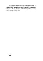 Referāts 'Hiperrealitāte', 6.