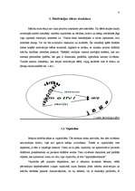 Referāts 'Motivācija kā mācību procesa komponents', 4.