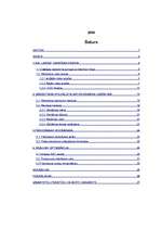 Referāts 'SIA "X" produktu tirgus izpēte', 1.