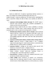 Referāts 'SIA "X" produktu tirgus izpēte', 6.