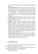 Referāts 'SIA "X" produktu tirgus izpēte', 7.