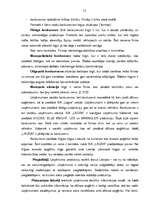 Referāts 'SIA "X" produktu tirgus izpēte', 12.