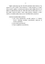 Referāts 'SIA "X" produktu tirgus izpēte', 17.