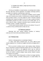 Referāts 'SIA "X" produktu tirgus izpēte', 19.