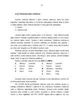 Referāts 'SIA "X" produktu tirgus izpēte', 22.