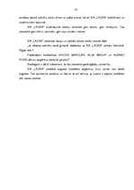 Referāts 'SIA "X" produktu tirgus izpēte', 23.