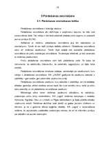 Referāts 'SIA "X" produktu tirgus izpēte', 24.