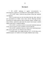 Referāts 'SIA "X" produktu tirgus izpēte', 35.