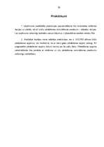 Referāts 'SIA "X" produktu tirgus izpēte', 36.