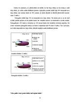 Referāts 'Baiļu un fobiju sociālpsiholoģiskais raksturojums', 23.