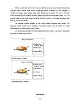 Referāts 'Baiļu un fobiju sociālpsiholoģiskais raksturojums', 24.