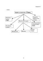 Referāts 'Baiļu un fobiju sociālpsiholoģiskais raksturojums', 42.