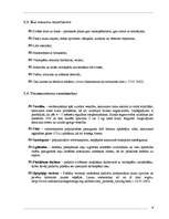 Referāts 'Velomaršruti Abavas ielejā', 8.