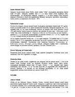 Referāts 'Velomaršruti Abavas ielejā', 23.