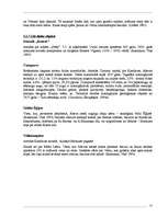 Referāts 'Velomaršruti Abavas ielejā', 25.