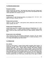 Referāts 'Velomaršruti Abavas ielejā', 28.