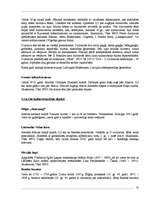 Referāts 'Velomaršruti Abavas ielejā', 32.