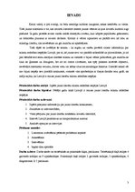 Referāts 'Jauno literātu talantu attīstības iespējas Latvijā pēdējos gados', 3.