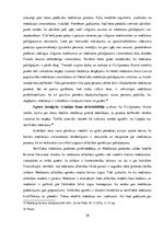 Referāts 'Mediācijas tiesiskie aspekti civiltiesisku strīdu risināšanā', 28.