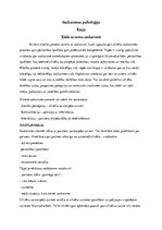 Eseja 'Kāds es esmu saskarsmē', 1.