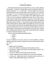 Referāts 'Basketbols', 6.