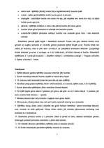 Referāts 'Basketbols', 7.