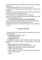 Referāts 'Basketbols', 8.