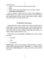 Referāts 'Basketbols', 9.