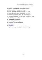 Referāts 'Basketbols', 14.