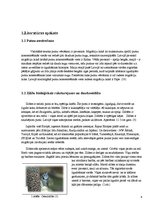 Referāts 'Cilvēka ietekme uz putnu ligzdošanas periodā', 6.