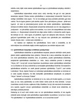 Diplomdarbs 'Apdrošināšanas kompānijas "Baltikums" darbības finanšu rezultātu vērtējums', 13.