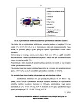 Diplomdarbs 'Apdrošināšanas kompānijas "Baltikums" darbības finanšu rezultātu vērtējums', 18.