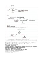 Konspekts 'Latvijas tiesību vēsture', 17.