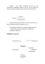 Referāts 'Skolēna "Es" novērtējums sākumskolas klasēs', 15.