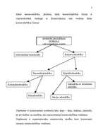 Referāts 'Uzņēmējdarbības formas Latvijā', 2.