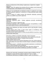 Prezentācija 'Personāla riski', 28.