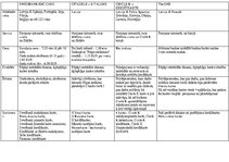 Biznesa plāns 'Biznesa plāns par jaunu ideju', 11.