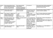 Biznesa plāns 'Biznesa plāns par jaunu ideju', 12.