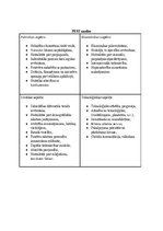 Biznesa plāns 'Biznesa plāns par jaunu ideju', 14.