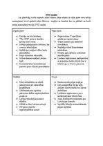 Biznesa plāns 'Biznesa plāns par jaunu ideju', 18.