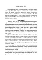 Biznesa plāns 'Biznesa plāns par jaunu ideju', 20.