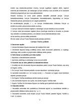 Referāts 'Latvijas Tautas padomes un Pagaidu valdības darbība (1919.-1920.)', 6.